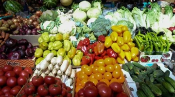 ارتفاع 14 صنفاً.. تطورات أسعار الخضار في ثاني أيام شهر رمضان المبارك